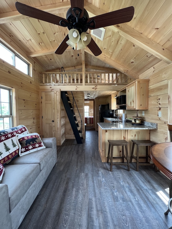Living area - Cozy Bear Haven: Tiny Cabin, Incredible View! (Boone)