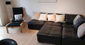 Smart TV, Netflix, streaming services, computer monitors