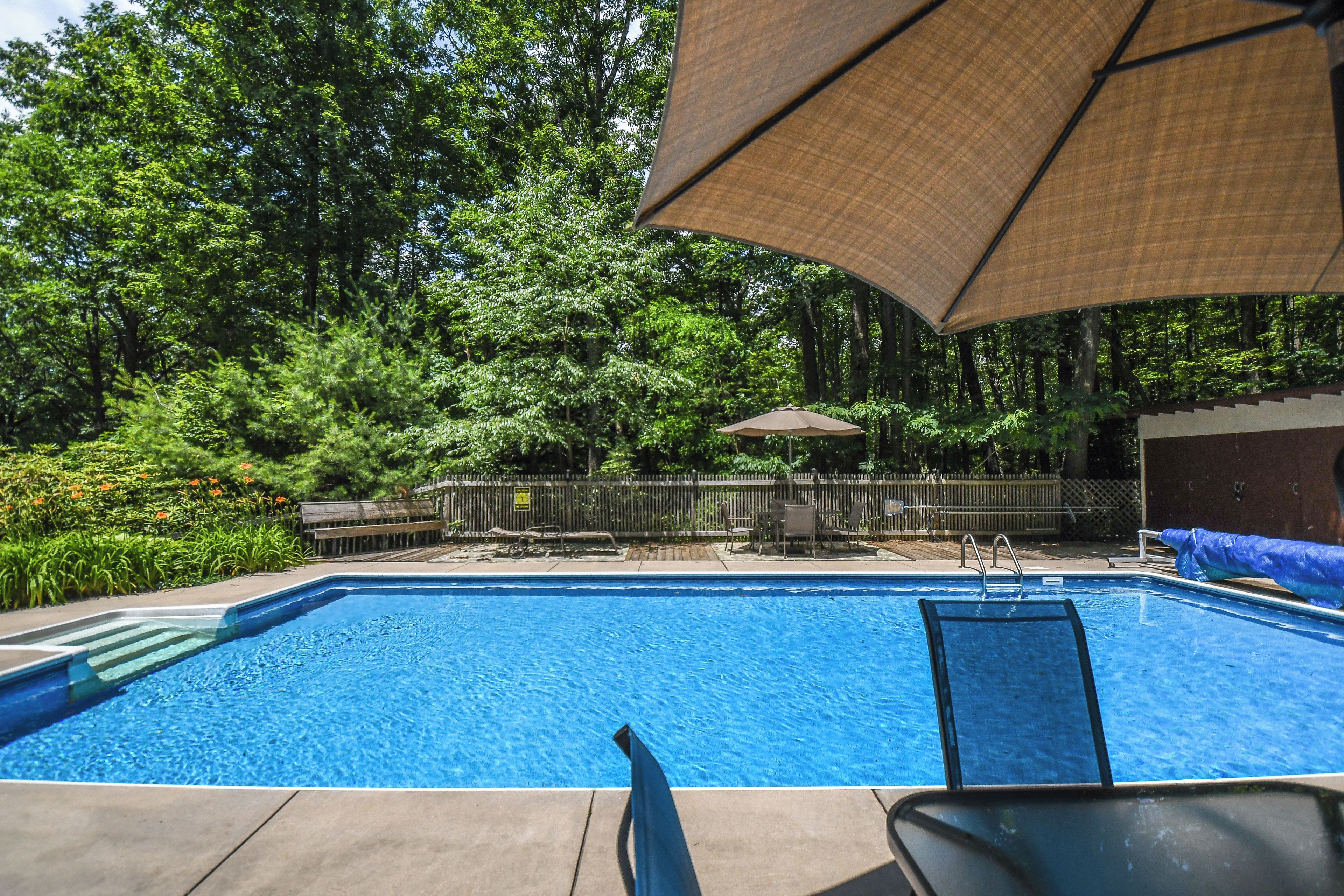 A swimming pool with a wooden deck, surrounded by lush greenery and a wooden fence.