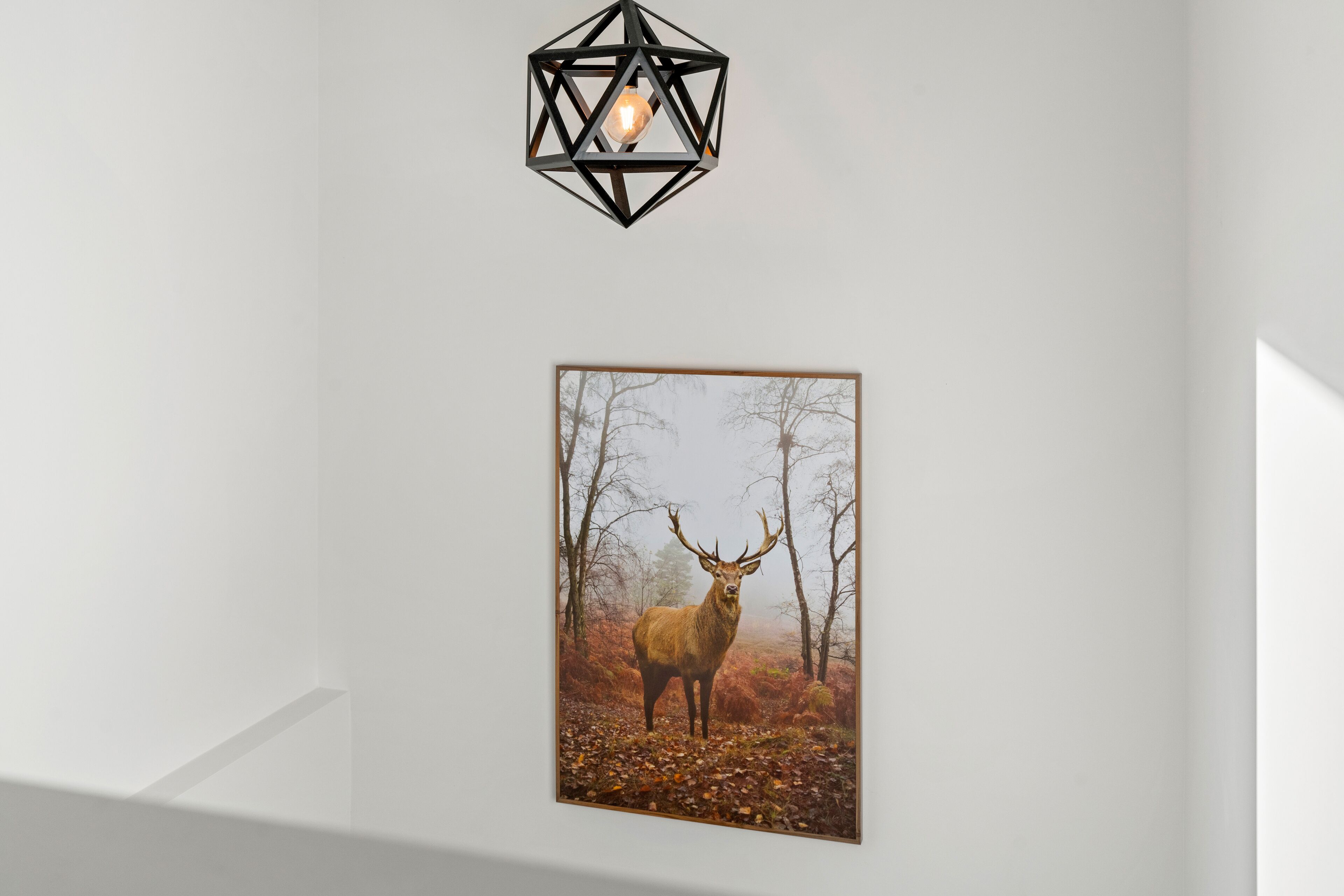 Un tableau représentant un cerf dans une forêt, accroché au mur, un luminaire suspendu aux formes géométriques et un mur blanc.