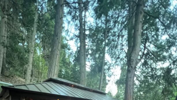 Een terras buiten met een overdekte zithoek, een tafel en een barbecue.