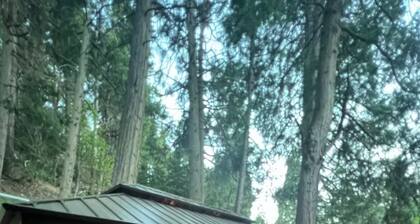 Luxe Cozy Lake Arrowhead Cabin New Hot Tub Kid & Dog Friendly