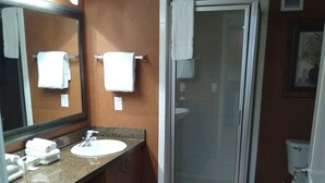Une salle de bain équipée d’un lavabo, d’un miroir, d’un porte-serviettes, d’une douche et de toilettes.