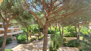 Un patio con árboles, un sendero y un edificio con balcones.