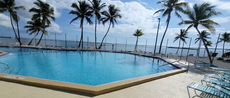 Outdoor pool, a heated pool