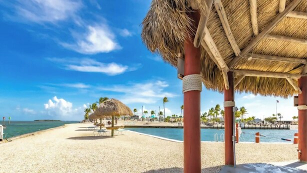 Una playa con una estructura de techo de paja, palmeras y un cielo azul despejado.