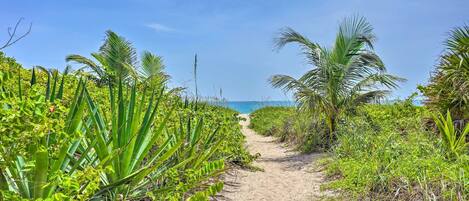 Playa en los alrededores