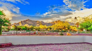 Property grounds - Villa Antonietta - Fun, Lux, Private Oasis! (Tucson)