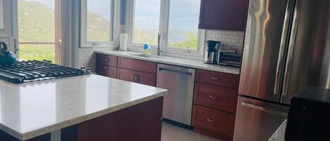 A kitchen with a large island, stainless steel appliances, and a view of a hillside.