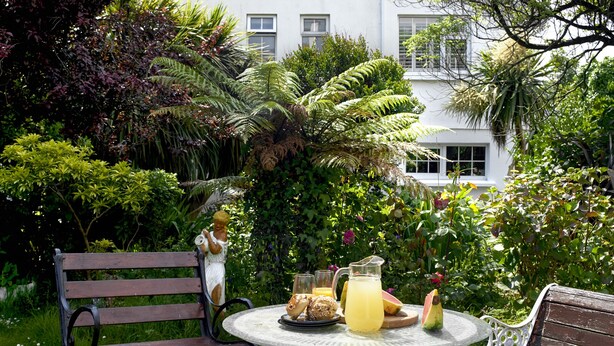 A garden with a bench, a table with food and drinks, and lush greenery. - Kirrary Townhouse 4 bedroom house VRBO (Dingle)