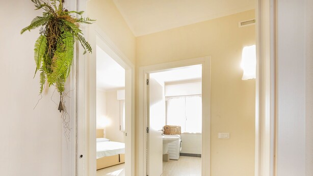 A hallway with a hanging plant, a bed, a washing machine, and a window with blinds. - Dimora Paola - Garda - Centro con parcheggio- ac (Garda)