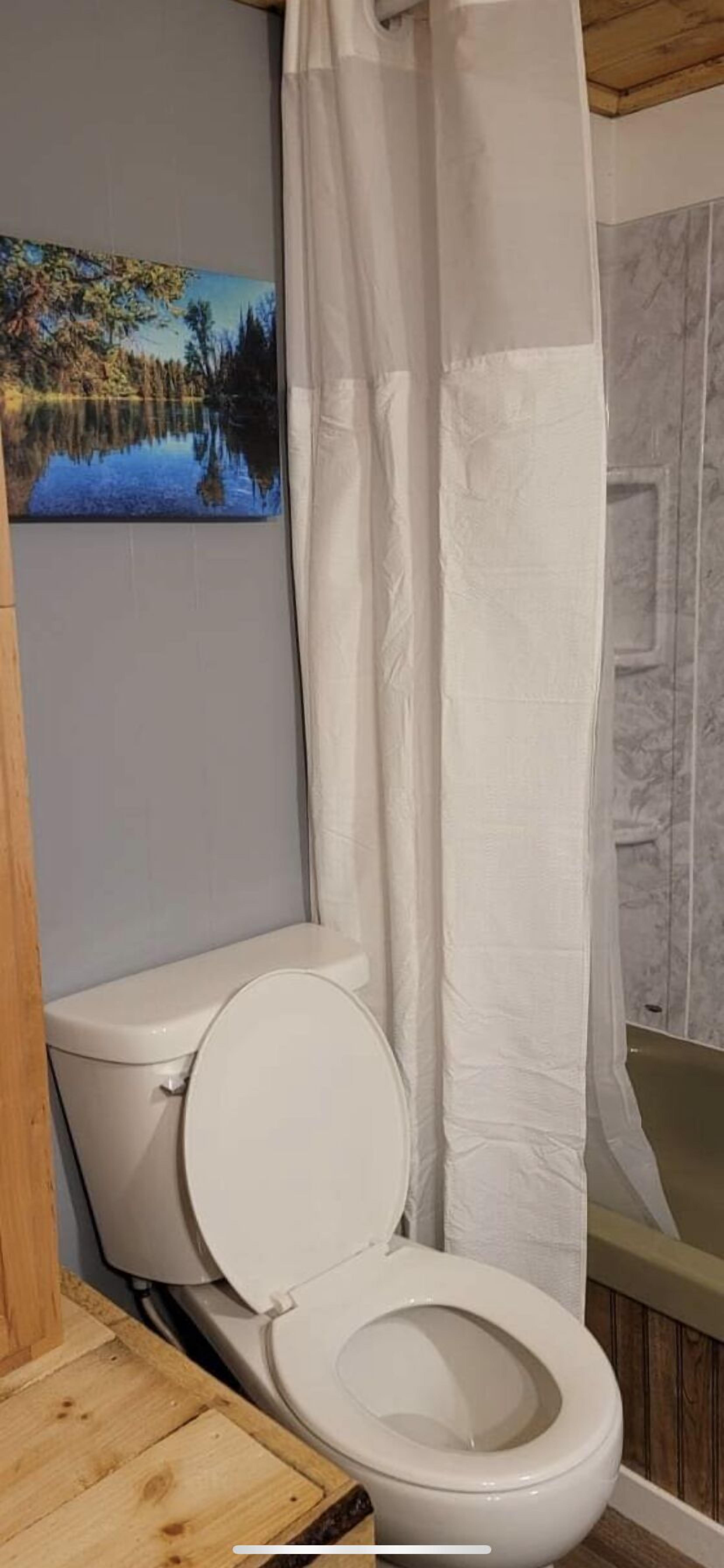 花灑/浴缸組合、提供毛巾、廁紙