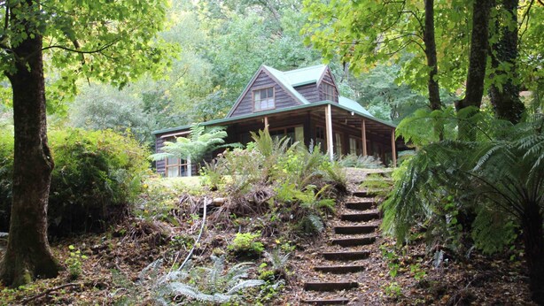 A wooden cabin with a sloped roof, surrounded by dense forest and ferns, accessible by a wooden staircase. - Goulburn River Cottage - River Front (Jamieson)