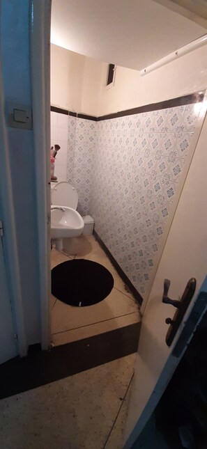Combined shower/bathtub, hair dryer
