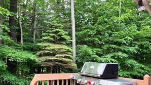A portable grill on a wooden deck with a forest backdrop. - BICKING & Fishing, National Parks .Water park. Shooting. Gamblingnd. IPA at PA.  (Clifton)