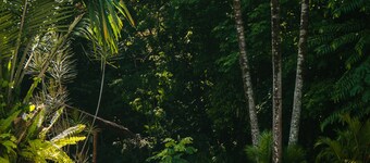 Bed in 4 Bed Female Only Dorm Room in Cozy Hostel