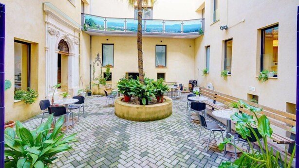 Ein Innenhof mit einer Palme, Blumentöpfen und Gartenmöbeln.