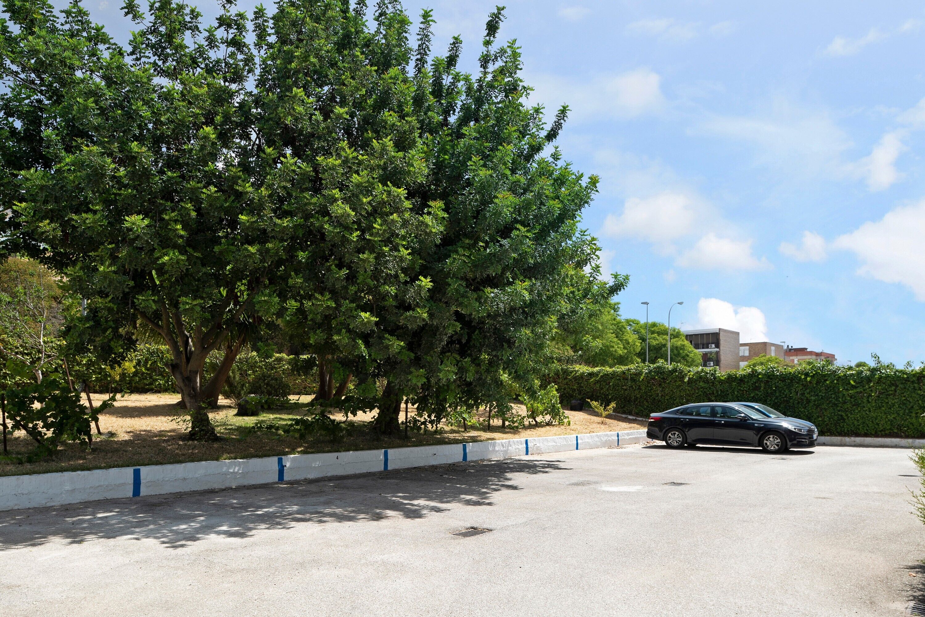 Un espace de stationnement avec une voiture, des arbres et un bâtiment en arrière-plan.
