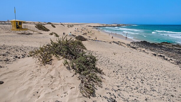 Uma praia com uma torre de salva-vidas, dunas de areia e ondas do oceano.