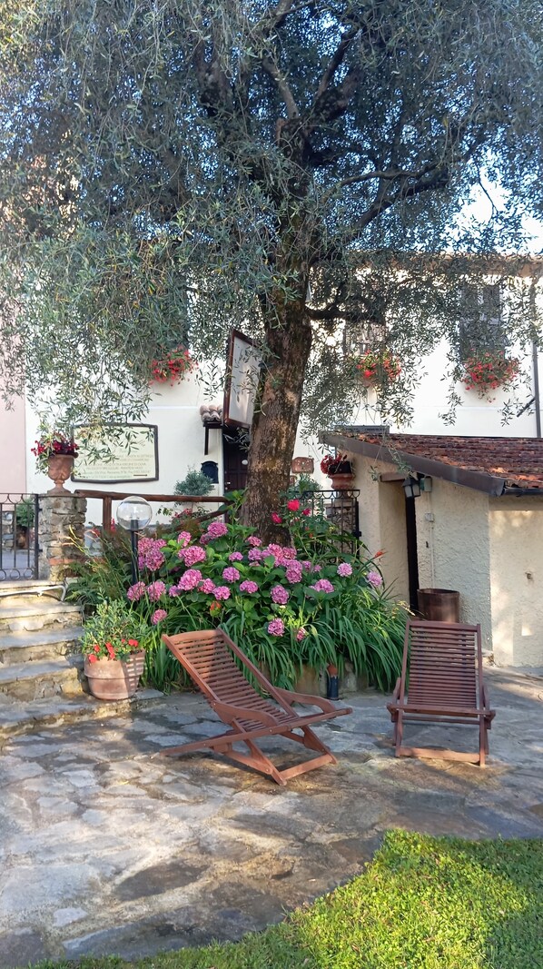 Un patio con un árbol grande, plantas en macetas y dos sillas de madera.