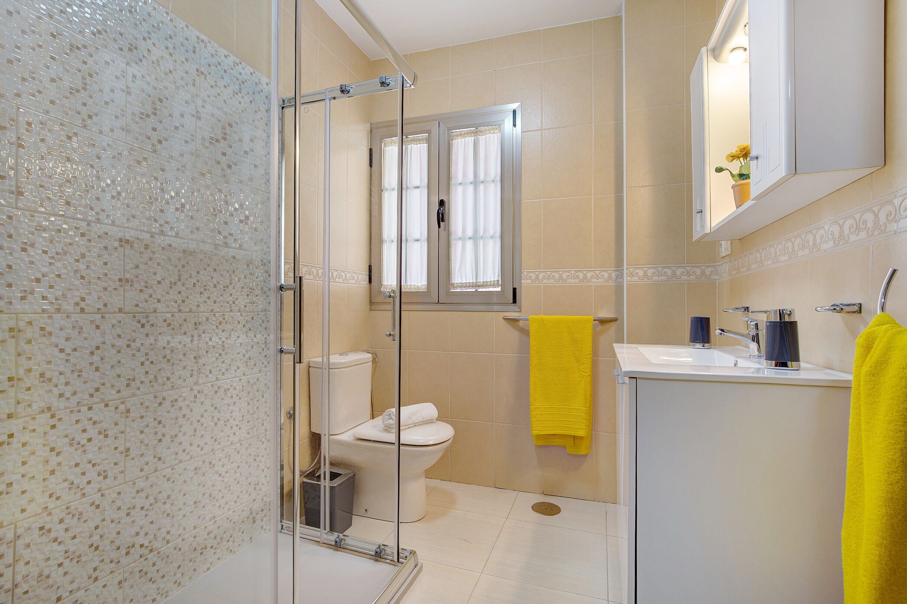 Shower, hair dryer, towels