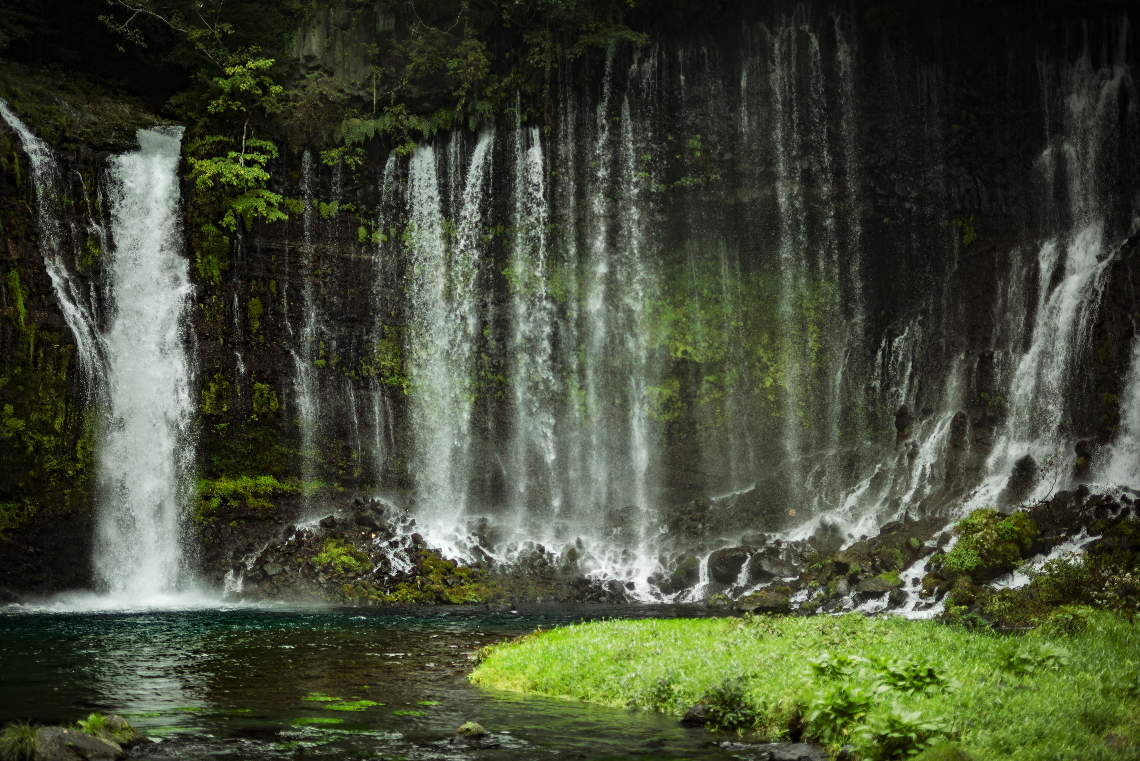A waterfall cascading into a pool surrounded by lush greenery.