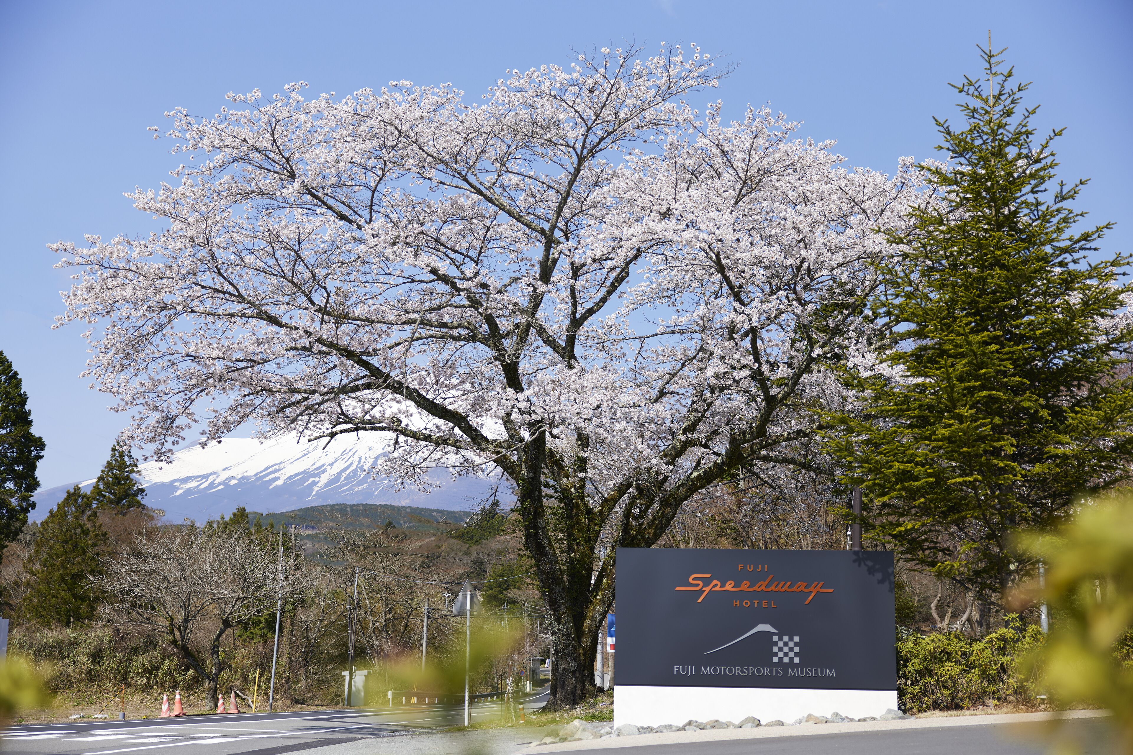 A sign for Fuji Speedway Hotel with a view of cherry blossoms and a mountain in the background.