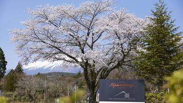 A sign for Fuji Speedway Hotel with a view of cherry blossoms and a mountain in the background.