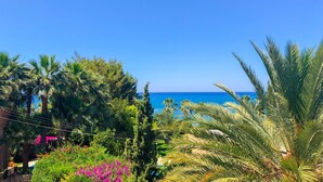 A coastal view with palm trees and a clear blue sky. - Villa Iliana in Poli Crysochous (Polis)