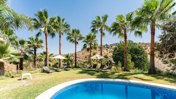 A swimming pool surrounded by palm trees and lounge chairs. - Holiday Home "Casa Mis Nietos" with Pool, Garden and Wi-Fi (Monda)