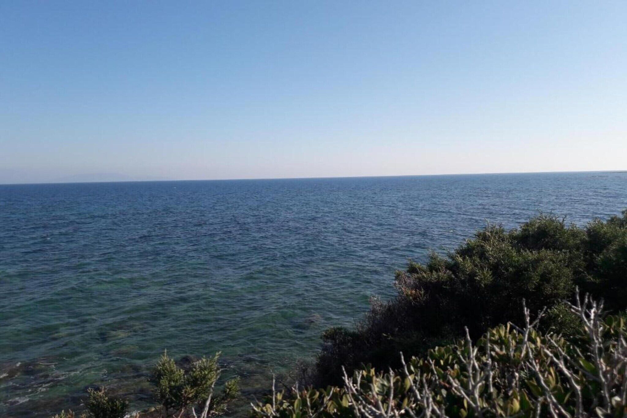 A coastal view with clear water and vegetation in the foreground.