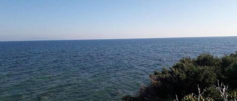 A coastal view with clear water and vegetation in the foreground.
