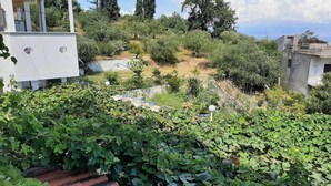 Un jardín exuberante con diversas plantas y árboles, un edificio blanco con balcón, y un cielo azul despejado.