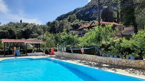 Una piscina con pared de piedra y plantas en macetas, rodeada de árboles y casas.