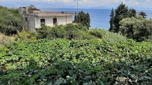 Un bâtiment situé sur la côte, doté d’un balcon donnant sur la mer, et entouré d’une végétation luxuriante et de vignobles.