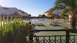 A pool area with lounge chairs and a palm tree.