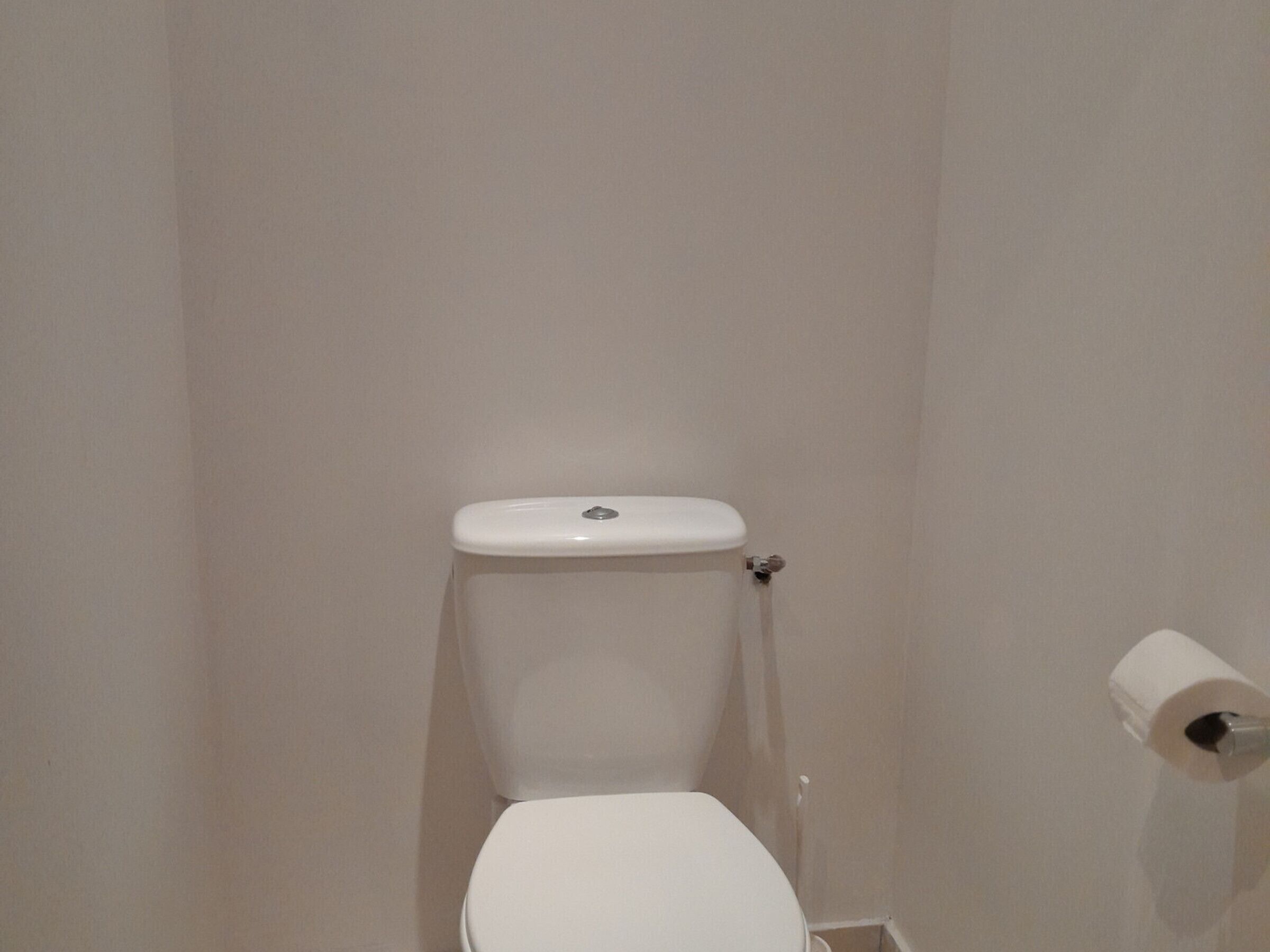A white toilet with a flush handle and a toilet paper roll on the right.