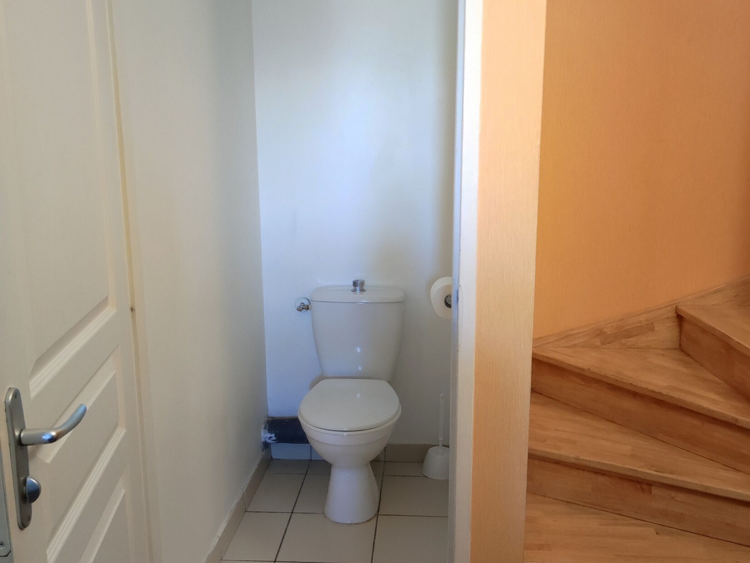 A small, narrow bathroom with a toilet, a toilet paper holder, and a visible toilet brush.