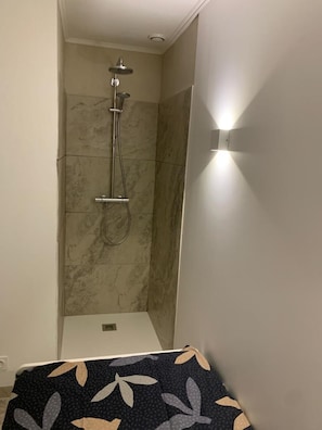 Shower, hair dryer