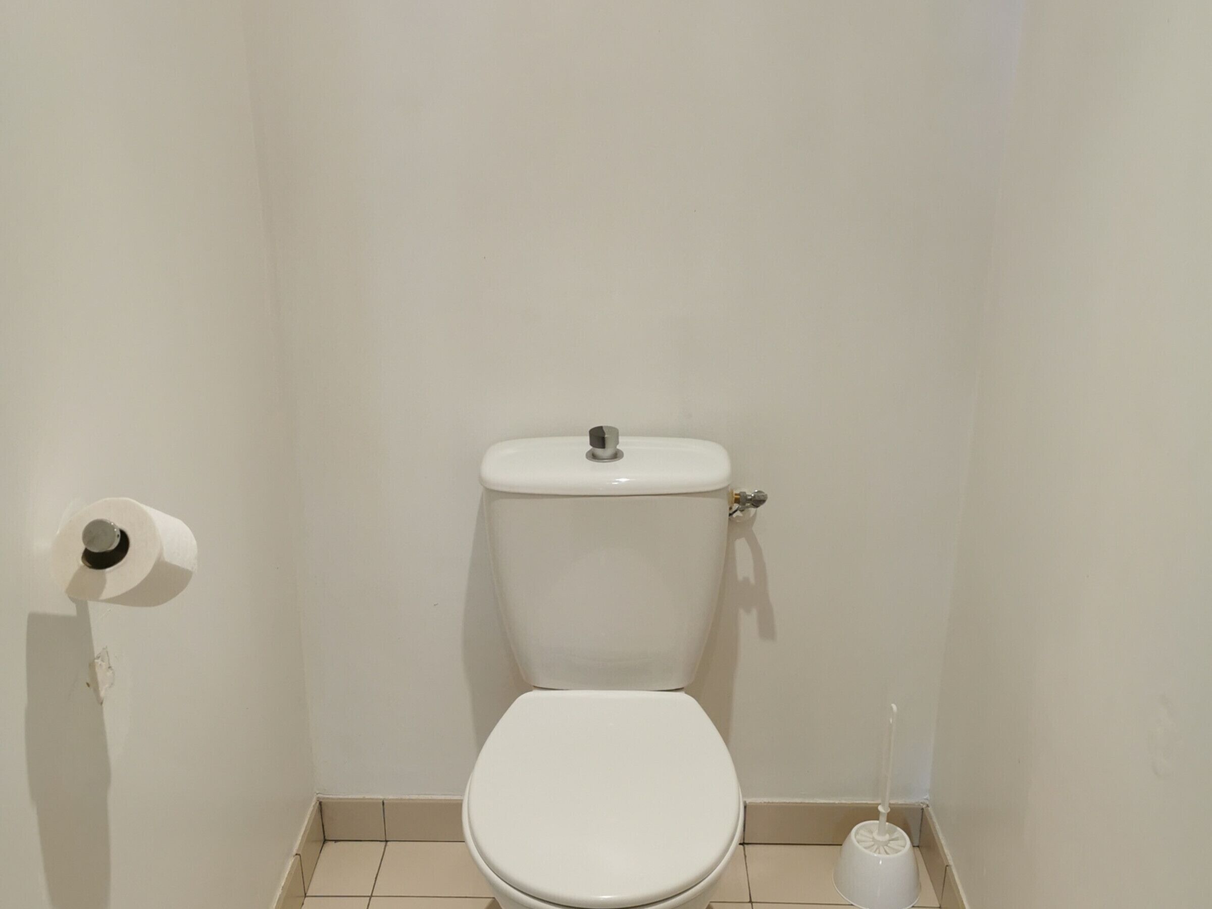 Eine kleine, weiße Toilette in einem schlichten Badezimmer, mit Toilettenpapierhalter links und einer Toilettenbürste rechts.