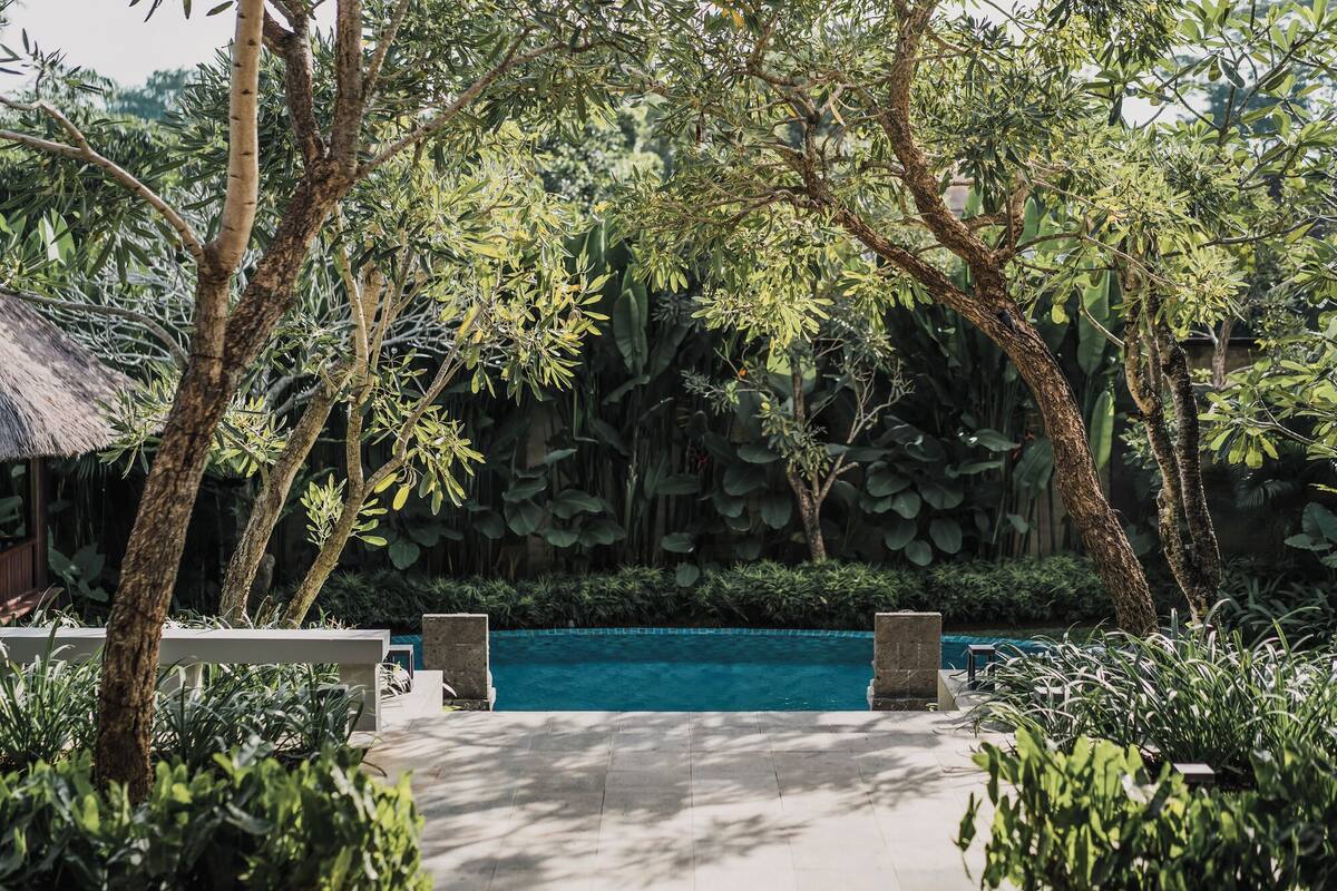 A swimming pool surrounded by lush greenery and a thatched-roof structure.
