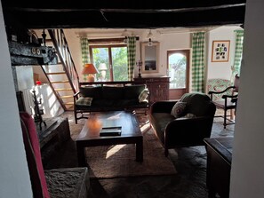 TV connectée, cheminée, livres, chaîne hi-fi