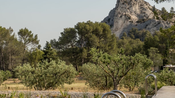 Une jetée en bois s’étendant au-dessus d’une étendue d’eau calme, avec une montagne en arrière-plan et des arbres qui bordent les environs.