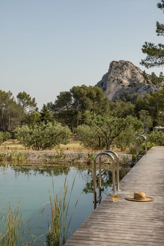 An exceptional Mas in the heart of the Alpilles, 5 minutes from Saint Rémy de Provence