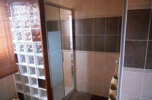 Combined shower/tub
