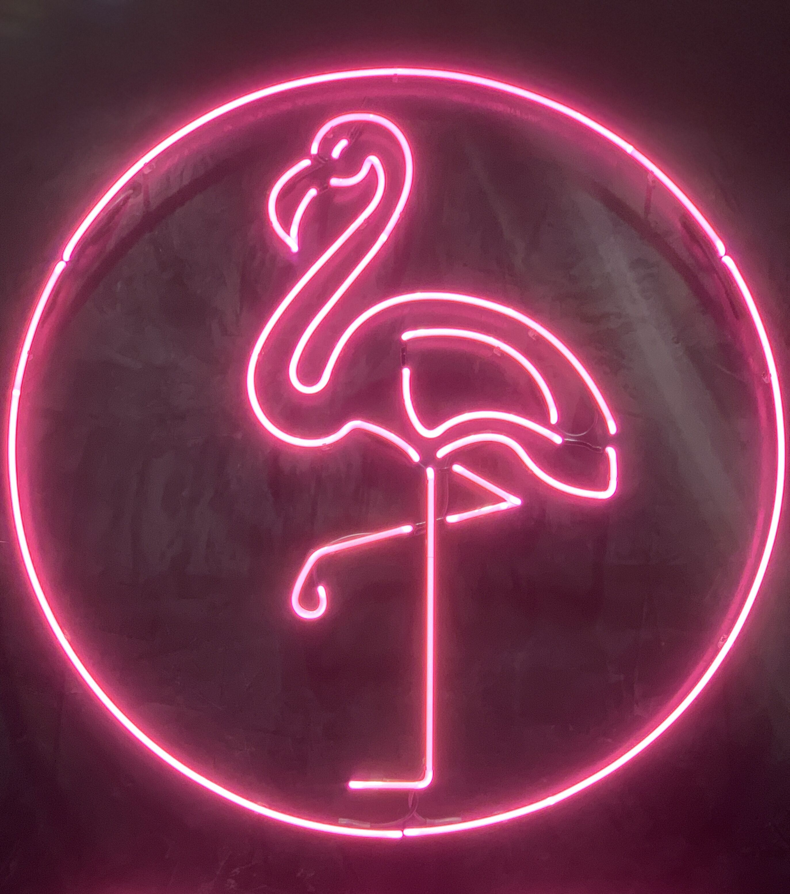 Foto - Illinois Hotel