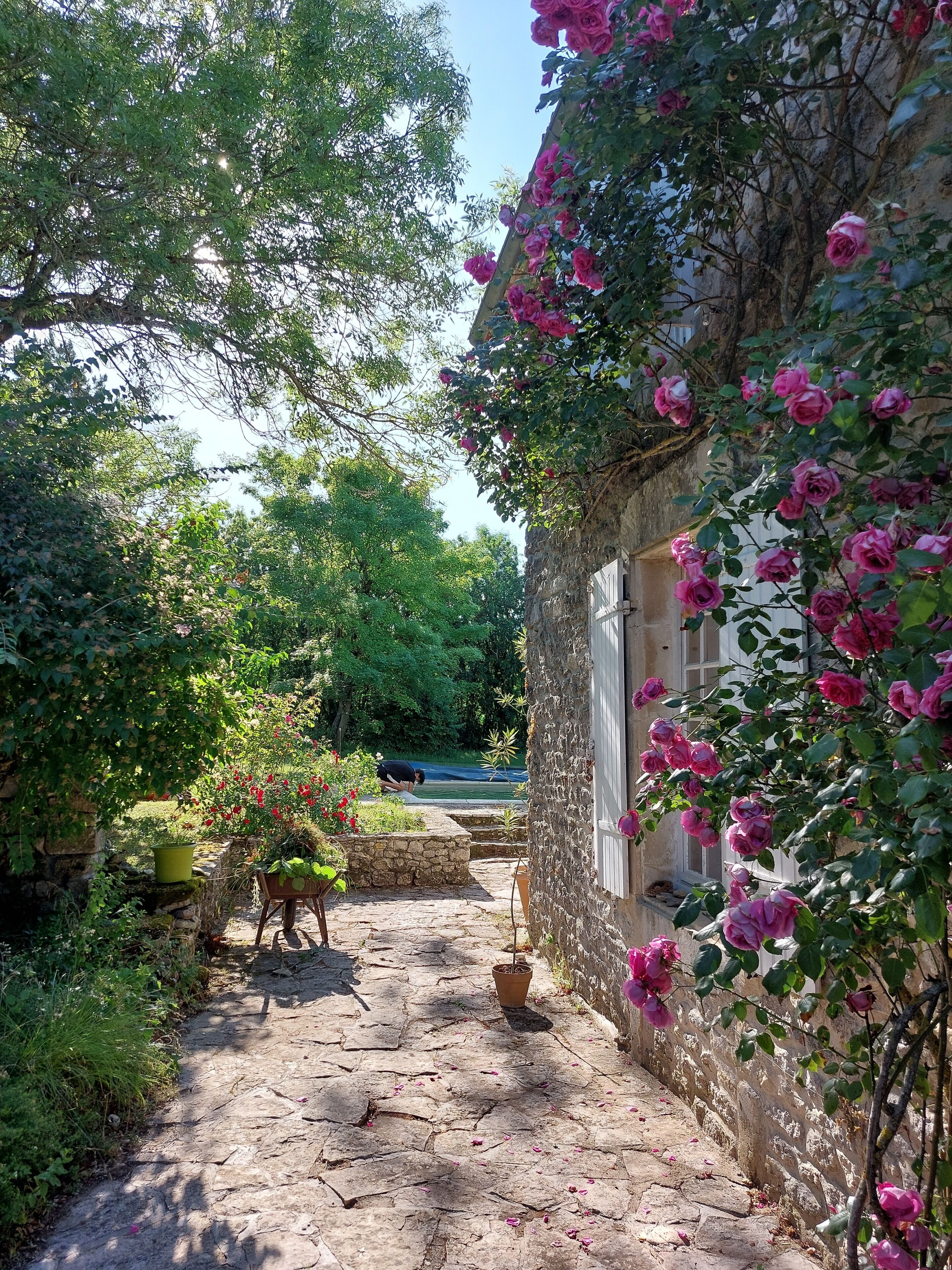 Overnatningsstedets område