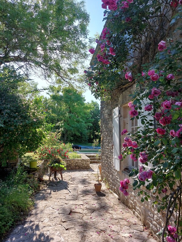 Áreas de la propiedad