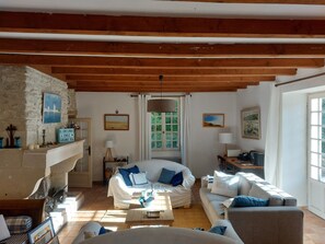 Televisión, chimenea y libros 