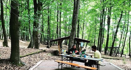 Sleeping in the beech green in the fresh forest air